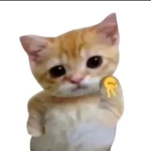 Meet your Posher, Jaclyn